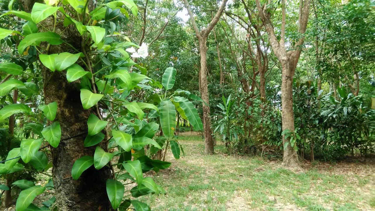 Hotel Dugong Koh Sukorn Ko Sukon Exterior foto